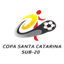Copa Santa Catarina