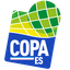 Copa Espírito Santo