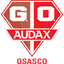 Gremio Osasco Audax