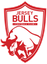 Jersey Bulls