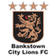 Bankstown City Lions