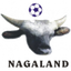 Nagaland