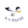 Pélican