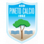 Pineto