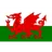 Wales U19