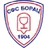 SFS Borac