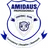 Amidaus Profs