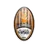 CSF Cricova