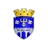Edineţ