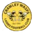 Crawley Wasps W