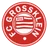 Grossklein