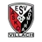SV Admira Villach