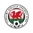 Llanelwy Athletic