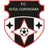 Oltul Curtişoara
