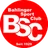 Bahlinger U19