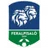 FeralpiSalò U19