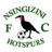 Nsingizini Hotspurs