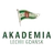 Akademia Piłkarska LG