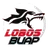Lobos Buap