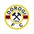 Dorogi FC