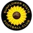 Sunflower State