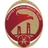 Sriwijaya FC