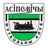 Osipovichy