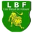 Lion Blessé