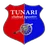 Tunari