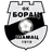 Borac Šamac