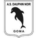 Dauphins Noirs