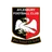 Aylesbury Vale Dynamos
