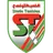Stade Tunisien